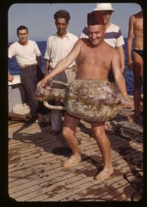 One of the large Roman amphoras on the second wreck at Antikythera, recovered in 1953 by Cousteau's team. Courtesy MIT Museum, Harold Edgerton Archive.